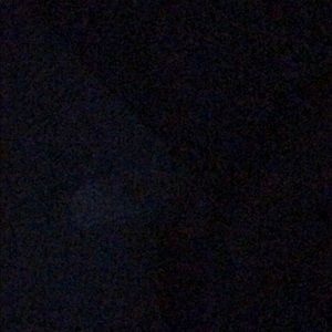 Meet your Posher, Mickey